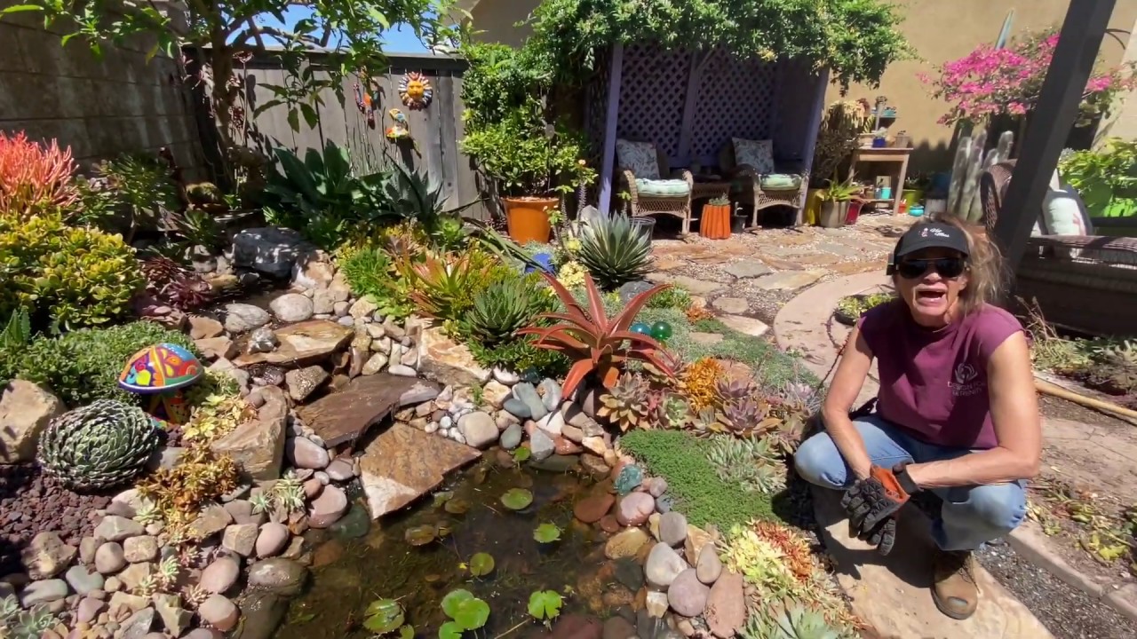 Extreme Gardening Day 5 Reinventing an Overgrown Arrangement