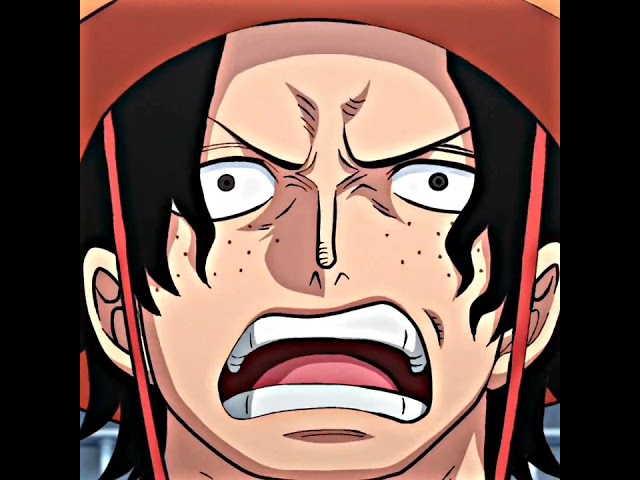 Marco remembers Ace - One Piece class=