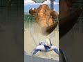 Ultraman Cosmos😟😭Game Ultraman Fighting Evolution 3#shortsyoutube