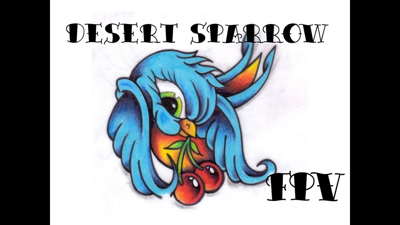 ImmersionRC Mojo first flight