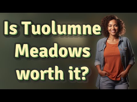 Video: Tuolumne Meadows: A Trip Worth Take in Yosemite