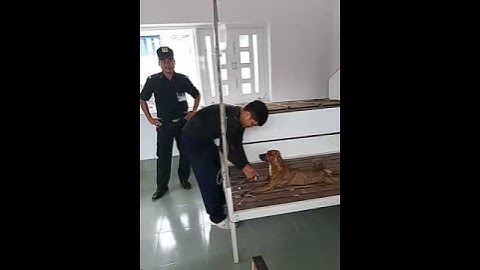 Nguoi tot viec tot kkkk