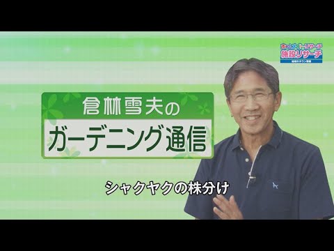 ホームメイト シャクヤクの株分け 倉林雪夫のガーデニング通信 Youtube動画 Youtube