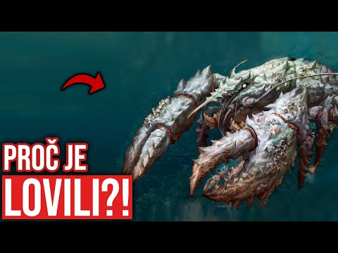 Video: Co Jsou Humři