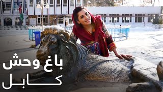 گزارش ویژه میترا از باغ وحش کابل / Kabul's Zoo Special Report