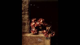 Whatsapp Ucun Maraqli Statuslar Sevgiye Aid Video Sounds App 2021 Status Ucun Video,Menali Video