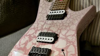 My Top 5 Favorite Things I Love About My Kiesel Type X!
