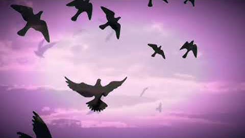 Lifeism by Carlos Botello