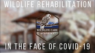 Wildlife Rehabilitation in the face of COVID-19 Pandemic