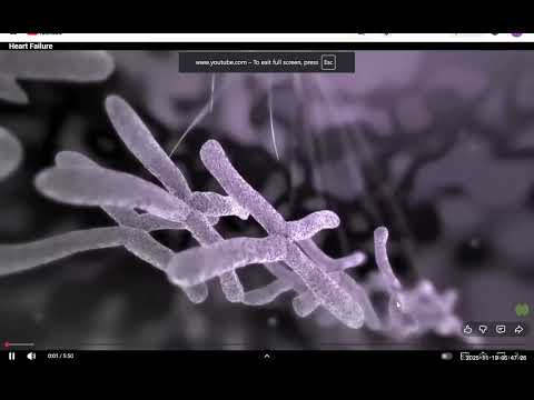 Module 9 Molecular Basis Of Heart Failure