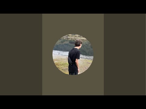 El Mono is live