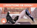 Cours de yoga avec son chien  7 positions de doga