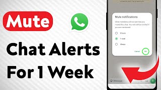 How To Mute A Chat Notifications For 1 Week On WhatsApp (Updated)
