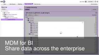 MDM for BI - Share master data across the enterprise
