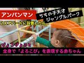【全身で喜びを表現する赤ちゃん】〜ぴょこぴょこダンシングベイビー〜アンパンマンうちの子天才ジャングルパーク