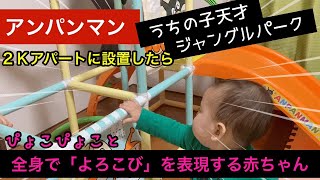 【全身で喜びを表現する赤ちゃん】〜ぴょこぴょこダンシングベイビー〜アンパンマンうちの子天才ジャングルパーク