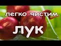 Как правильно почистить и нарезать ЛУК. Идеи для кухни. ЛАЙФХАКИ. Кулинарные хитрости