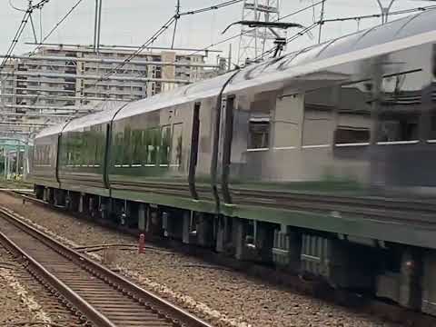 E261系サフィール踊り子が川崎と蒲田の間を通過