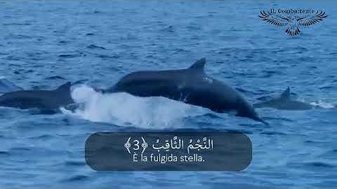Corano tradotto italiano arabo  سورة الطارق قران مترجم عربي ايطالي
