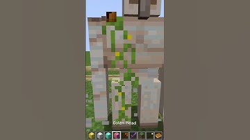 Diamond Golem Vs Iron Golem #shorts #trending #minecraft