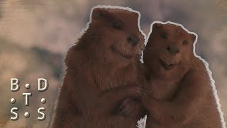Full Creatures of Narnia: Beavers | Narnia Behind the Scenes News