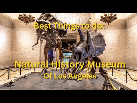 فيديو: متاحف لوس أنجلوس للتاريخ المحلي