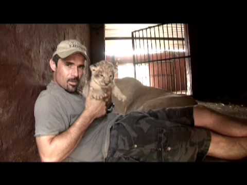 Kevin Richardson, a very special Lioness, & her Cubs