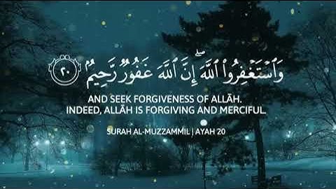 تلاوة هادئة و خاشعة🥺🎧القارئ عبدالرحمن مسعد و أحمد خضر أرح قلبك❤️ Abdulrhman Mosad