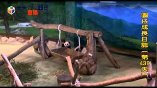 Full 20140918 439 Guide