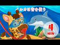 イルカは音を使う - 4分 Giramille | 童謡と子供向けの歌