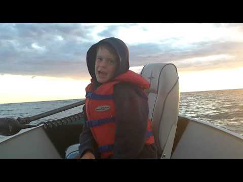 carters salmon 006