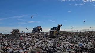 Larimer County Landfill Nearly Full
