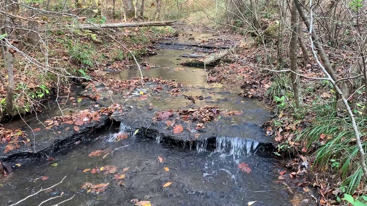 54 acres for sale in Tennessee. House, pond, creek, shop & much more! YouTube