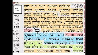 נזיר מד דף יומי מסכת נזיר דף מד Daf yomi Nazir daf 44 שמואל נבון
