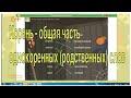 Корень - общая часть однокоренных (родственных слов)