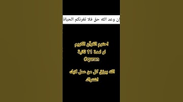 احترم القران الكريم #قرآن #راحة_نفسية #تلاوة_هادئة #قران_كريم #quran #tiktok #trending #قرآن_كريم #ا