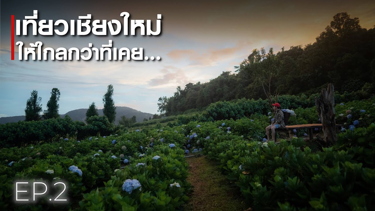 NETTRIP - เชียงใหม่ EP.2