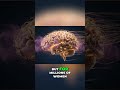 Brain Fog: The Disorienting Mist #shorts