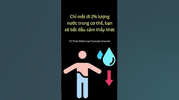 Sự thật thú vị về Nước | Tri thức nhân loại