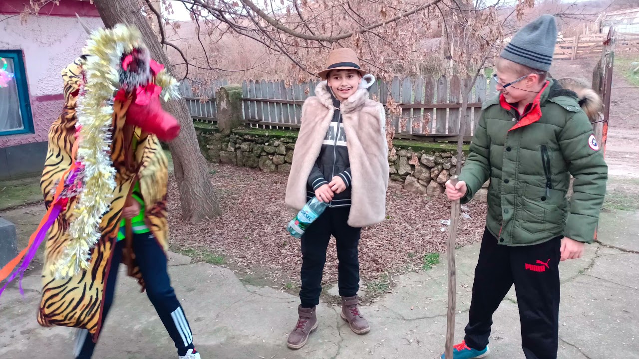 colinde cu CAPRA  anul nou foarte frumos 🐐🐐🦌 video 4k