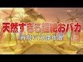 天然すぎる超絶おバカ【踊る!さんま御殿!!公式】再現VTR傑作選