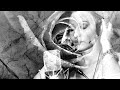Ceca Hvata Me Official Video 2011 Ceca Hvata Me Official Video 2011