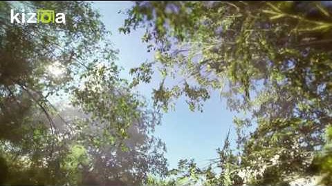 Kizoa Movie - Video - Slideshow Maker: Earth day  - short video
