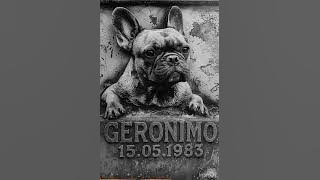 Geronimo-oglinzi @worldofreggaedjheltonroots2842 