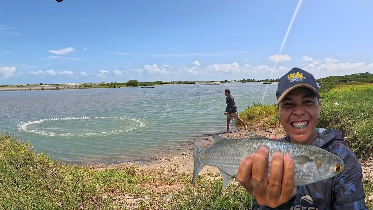 FARTURA DE SAUNINHA NA PESCARIA DE TARRAFA ( DIEGO PESCADOR AMADOR)