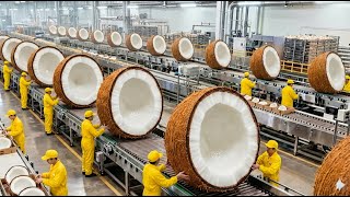 Inside a Coconuts Factory: How Coconuts Are Turned into Delicious Coconut Milk (Full Process)