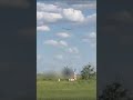Striking footage captured the moment two Ukrainian drones attacked a Russian KAMAZ military truck
