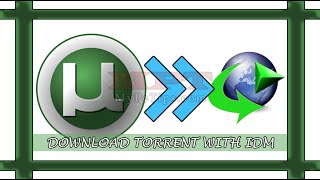 How to Download Torrent File via IDM?