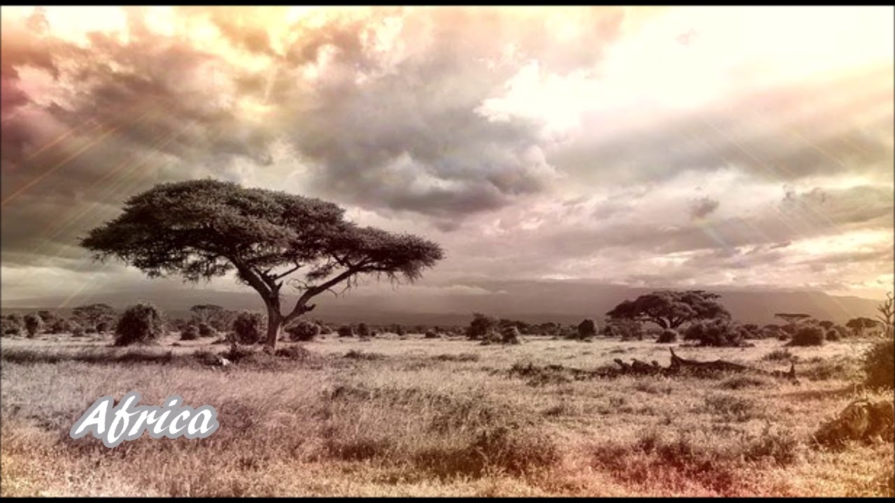 TOTO vol.2 Emotive Ballads ➀ I'll Be Over You ➁ Africa ③ Only