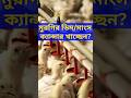 মুরগির ডিম ও মাংস খাচ্ছেন না  ক্যান্সার খাচ্ছেন? #shorts #shortfeed